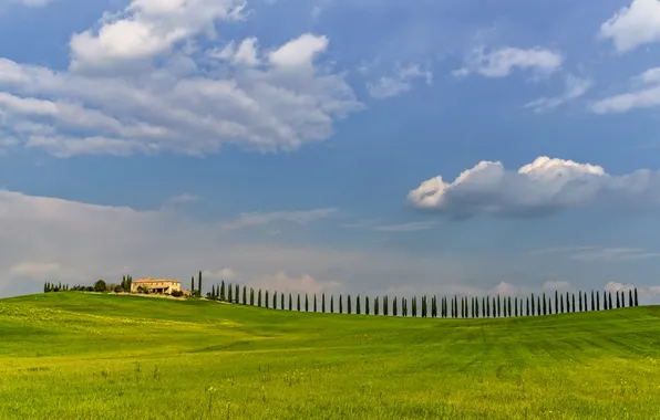 Picture field, the sky, grass, clouds, trees, house, hills, Italy