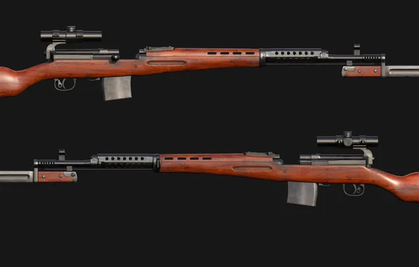 Russia, SVT-40, Self-loading rifle Tokarev, Fedor Tokarev