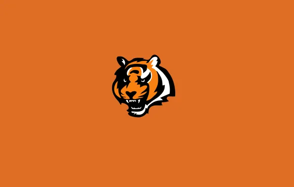 Tiger, animal, Wallpaper, orange