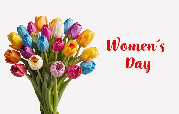 Picture flowers, bouquet, colorful, tulips, happy, March 8, flowers, tulips