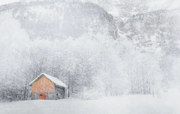 Picture winter, snow, house