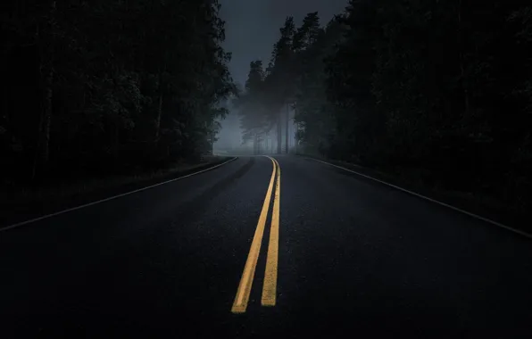 Road, forest, asphalt, fog, twilight