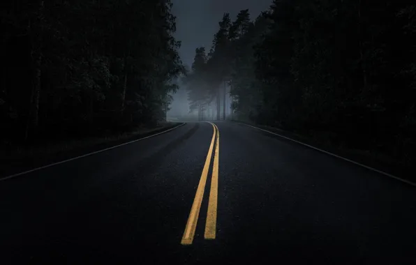 Picture road, forest, asphalt, fog, twilight