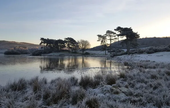 Picture frost, lake, morning