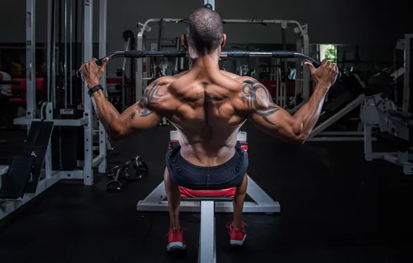 Picture man, back, workout, bodybuilding
