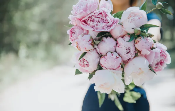 Flowers, peonies, Anita Austvika