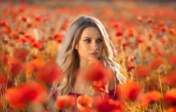 Picture field, look, girl, flowers, nature, Maki, blonde, curls