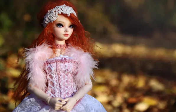 Nature, toy, doll, blur, red, sitting, long hair
