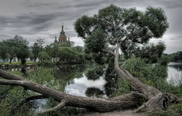 Picture clouds, clouds, nature, lake, tree, Cathedral