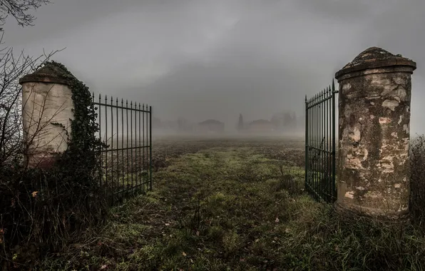 Picture field, fog, gate