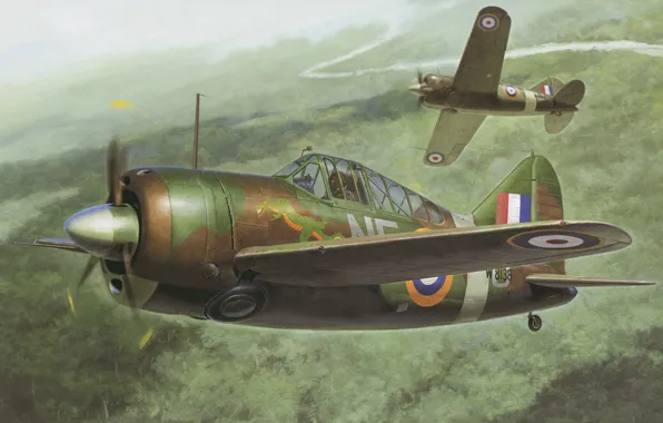Fighter, New Zealand, USA, Deck, RNZAF, F2A, Brewster B-339 Buffalo «Pacific Theater»