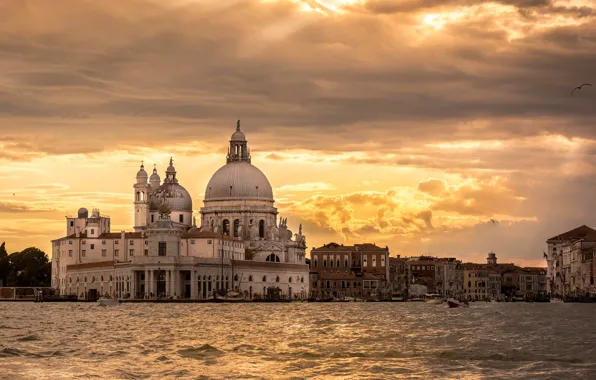 The sky, clouds, light, sunset, the city, shore, view, building