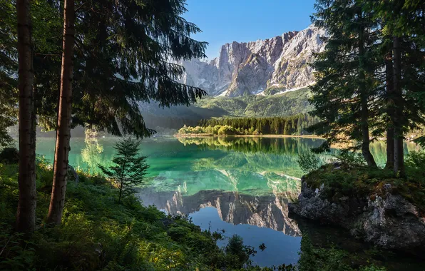 Forest, summer, light, trees, mountains, branches, lake, reflection