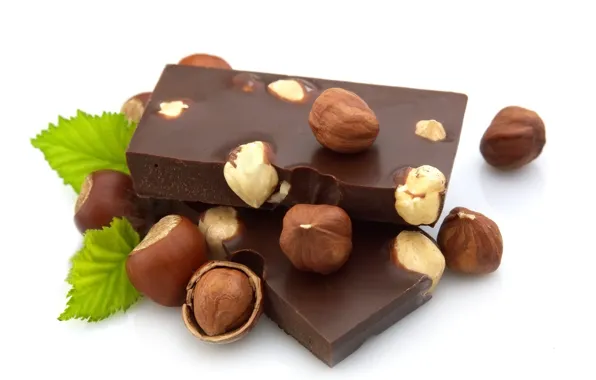 Picture chocolate, nuts, mint, hazelnuts