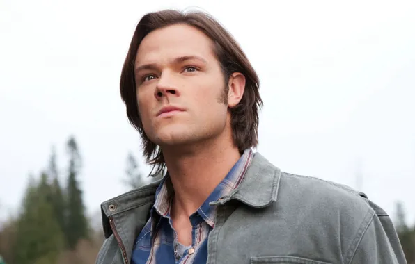 Picture actor, supernatural, Sam, supernatural, over the padalecki jared, Jared padalecki