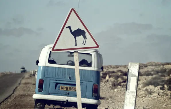 Picture road, the sky, clouds, sign, desert, Volkswagen, camel, back