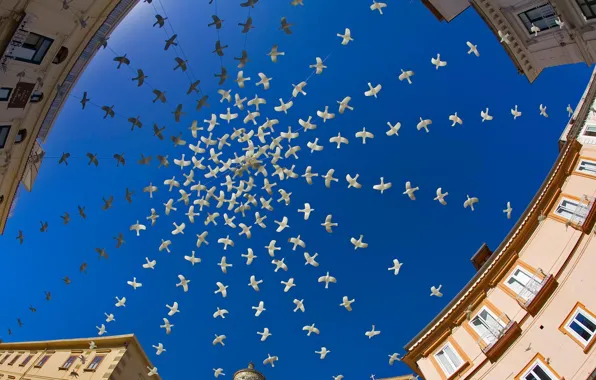 Home, Italy, Amalfi, installation, Piazza del Duomo