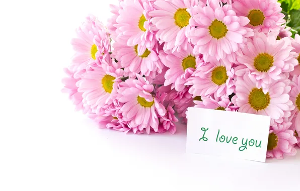 Picture flowers, bouquet, white background, pink
