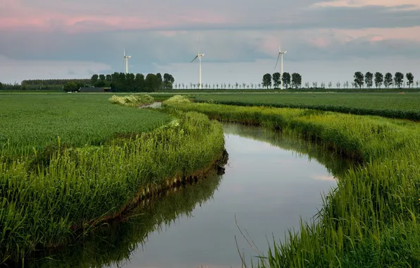 Picture field, landscape, river, windmills