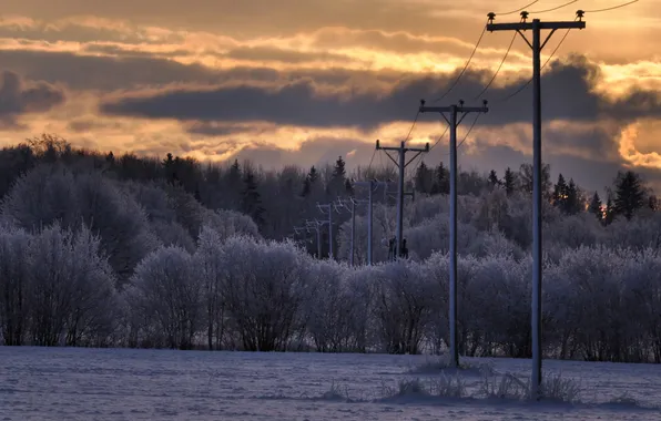 Winter, field, nature, morning, power lines