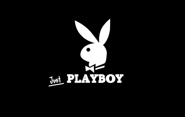Picture rabbit, journal, playboy
