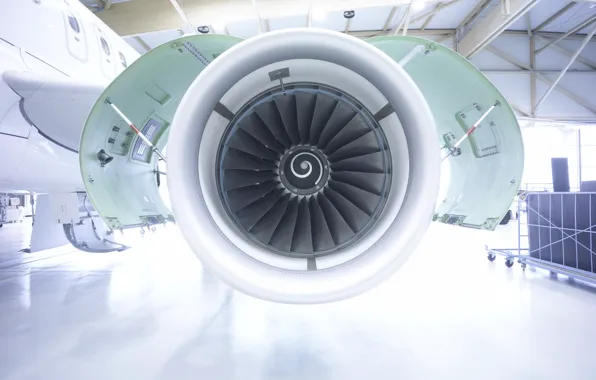 The plane, hangar, case, blades, Turbine