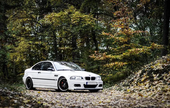 Autumn, leaves, BMW, white, E46