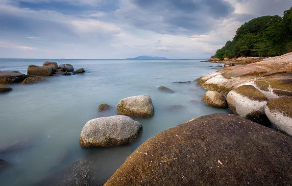 Picture sea, the sky, trees, clouds, stones, shore