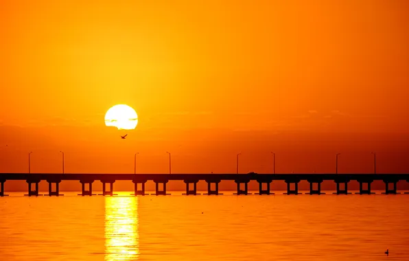 Picture sunset, birds, bridge, solar, lagoon