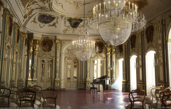 Picture interior, Palace, Barbara Witkowska