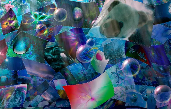 Abstraction, color, form