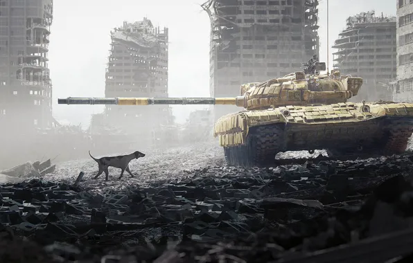 Picture dog, the ruins, Tank, DOFRESH, A dog's life