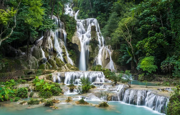 Forest, trees, stones, rocks, waterfall, Laos, Kuang Si Waterfall