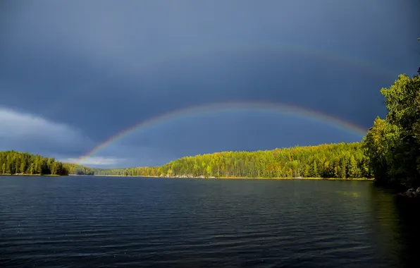 Forest, the sky, clouds, trees, landscape, nature, lake, rain