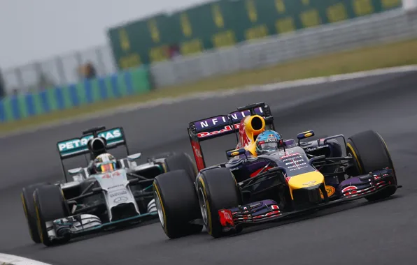 Racer, Formula 1, Red Bull, Vettel, Champion, Sebastian, RB10