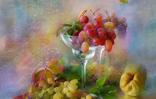 Picture leaves, water, drops, branches, berries, grapes, fruit, still life