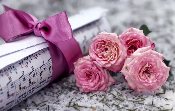 Snow, flowers, notes, music, roses, bouquet, pink, bow