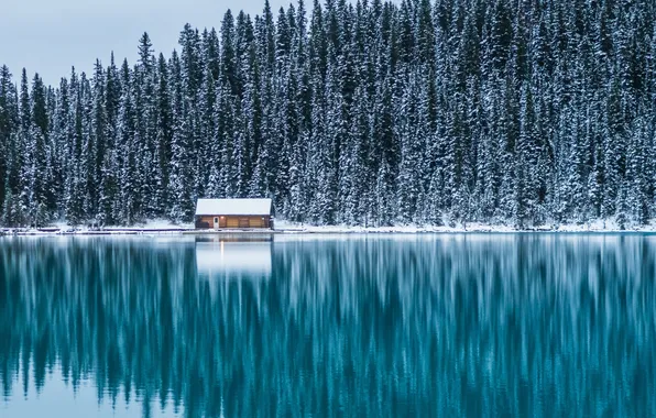 Winter, frost, forest, snow, nature, lake, house, reflection