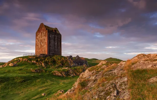Picture grass, rocks, tower, ruins, Scottish Borders, Smailholm Tower