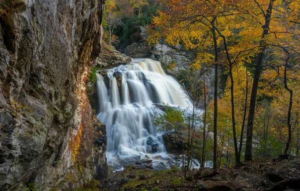 Autumn, trees, rock, waterfall, cascade, North Carolina, North Carolina, Nantahala National Forest