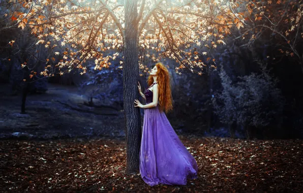 Autumn, leaves, girl, tree, dress, Ronny Garcia, Prelude of light