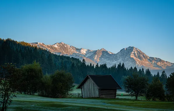 Field, forest, the sky, trees, mountains, blue, the slopes, tops