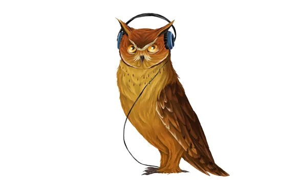 Picture music, owl, bird, headphones, light background, owl