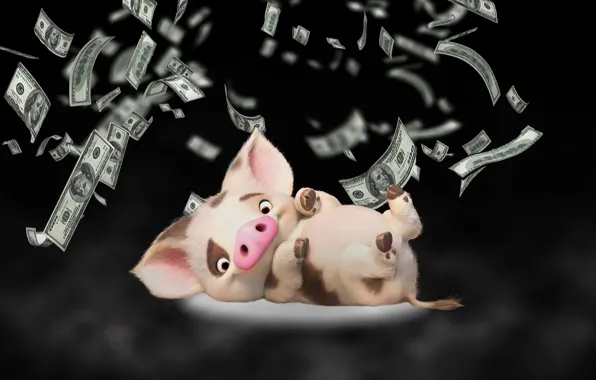 Picture background, money, pig, pig