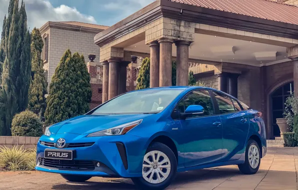 Photo, Blue, Toyota, Car, Prius, 2019