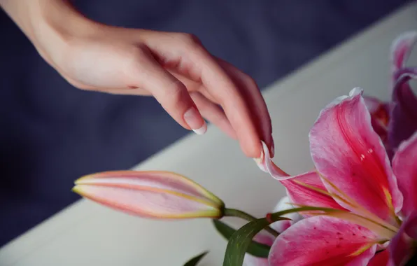 Flower, girl, nature, hand, finger