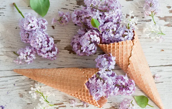Flowers, flowers, lilac, lilac, waffle cone, waffle cones