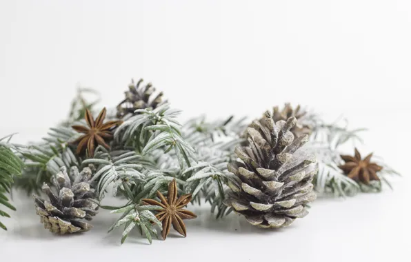 Branches, Spruce, Bumps