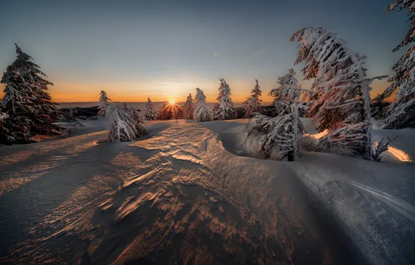 Winter, forest, the sky, the sun, light, snow, sunset, nature
