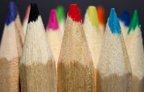 Macro, background, color, pencils